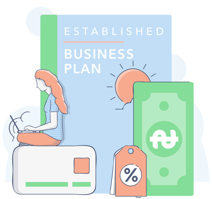 Established Company Business Plan